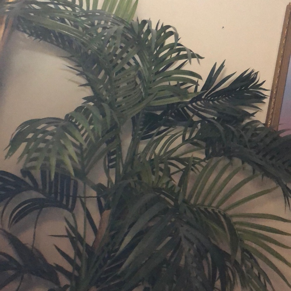 Meet your Posher, Margarita